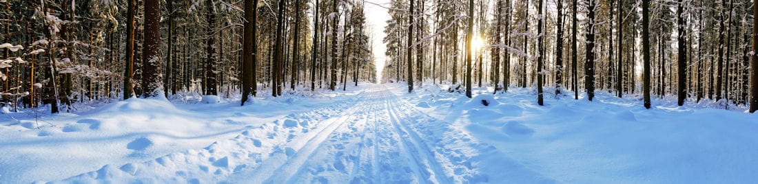 cross country ski trail