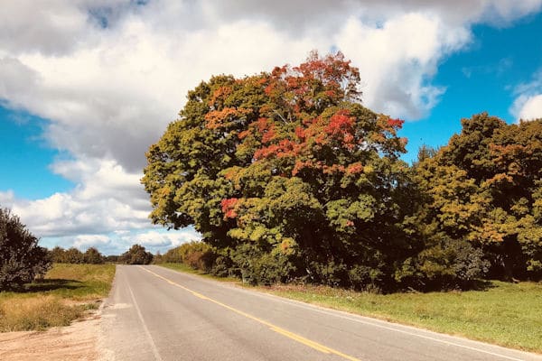 a scenic road in the state of michigan