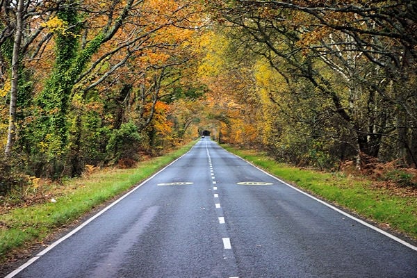 a scenic road in the state of new hampshire